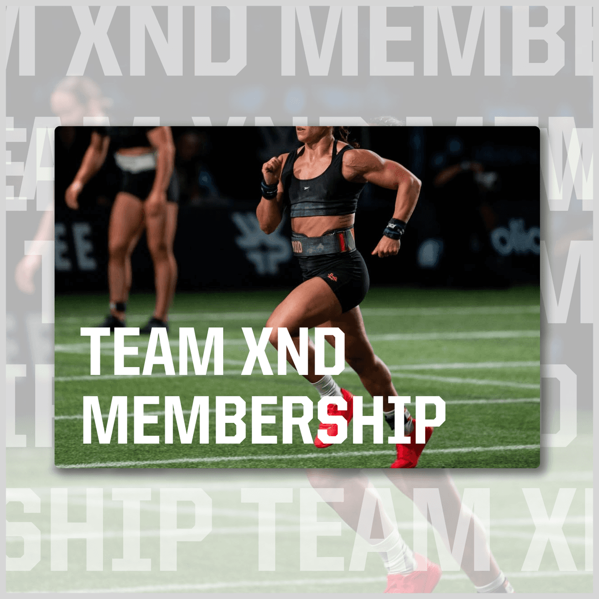 Team XND