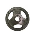 BodyWorx Olympic Weight Plate 10kg Pair